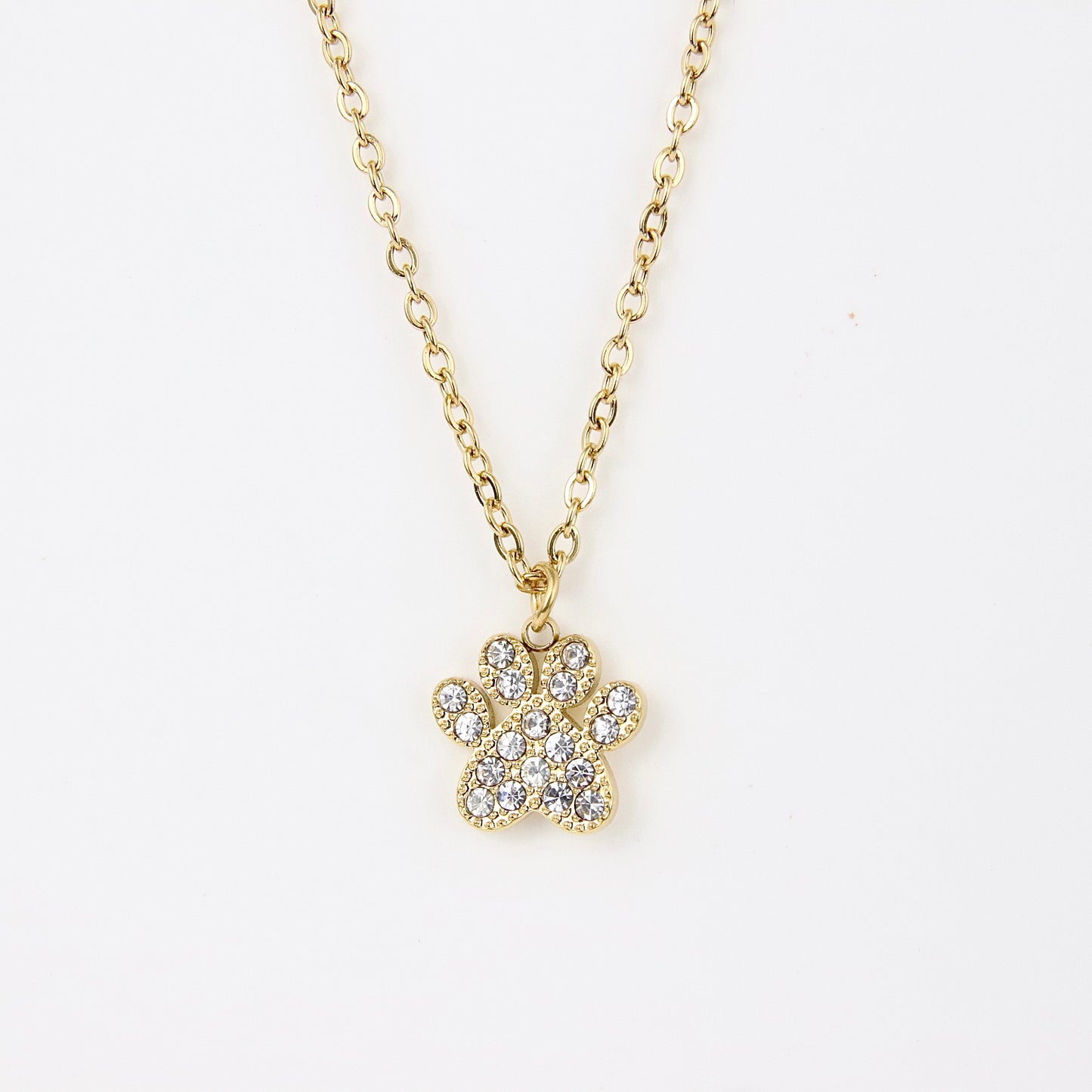 Ciondolo zampa di dog