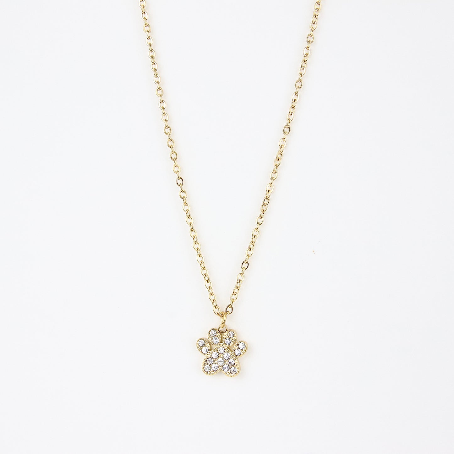 Ciondolo zampa di dog