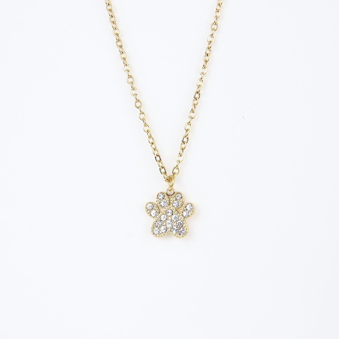 Ciondolo zampa di dog