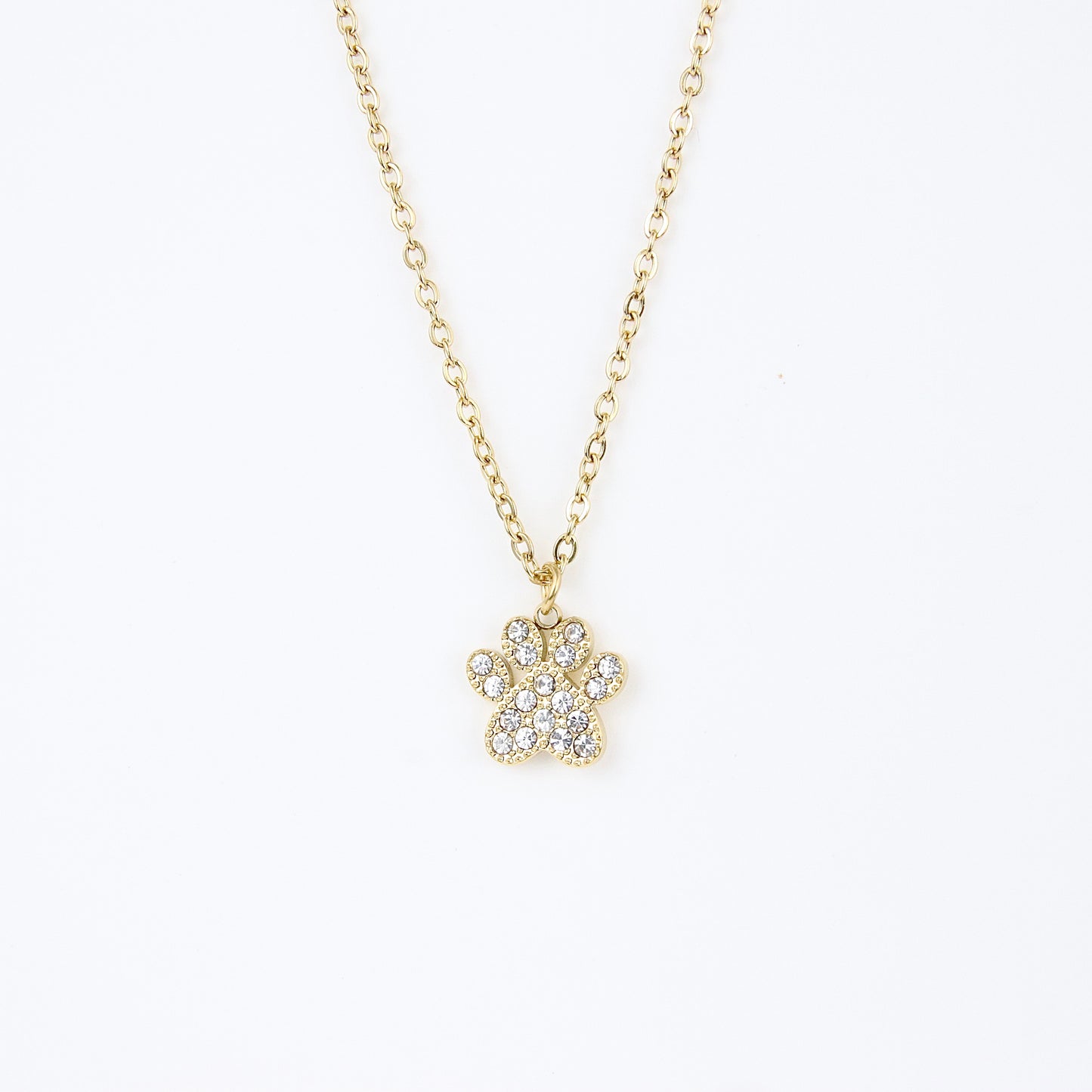 Ciondolo zampa di dog