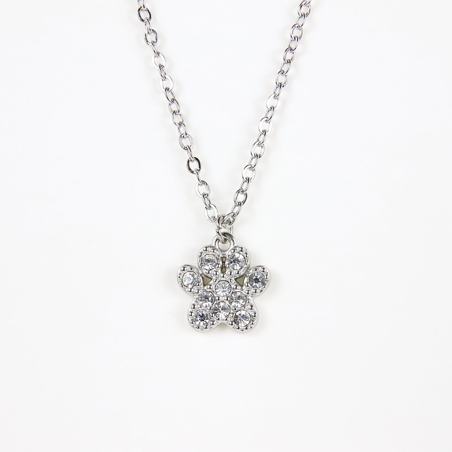 Ciondolo Zampa di Dog