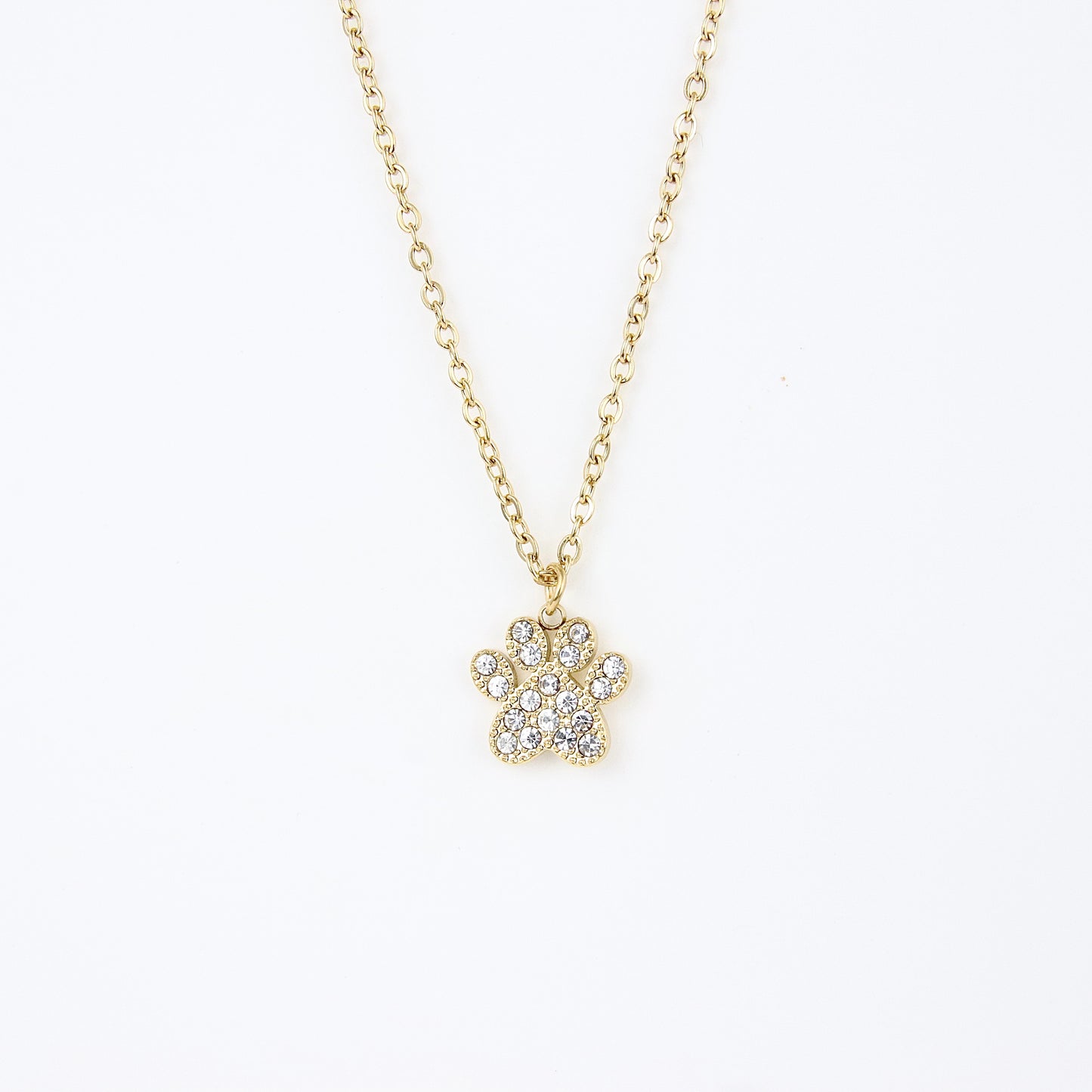 Ciondolo zampa di dog