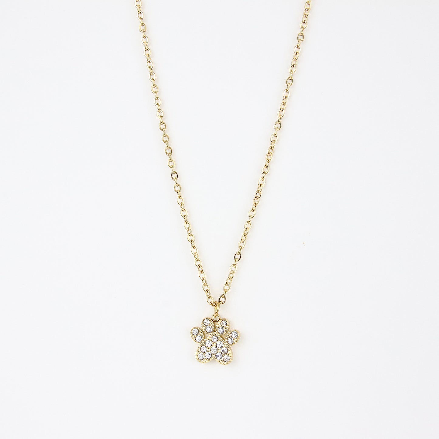 Ciondolo zampa di dog